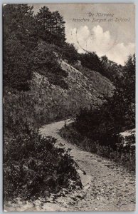 Bergen Netherlands 1911 Postcard De Klimweg Tusschen En Schoorl Path To School