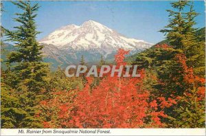 Modern Postcard Mount Rainier National Park Washington State