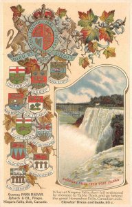 AMERICAN FALLS FROM GOAT ISLAND CANADA EMBOSSED PATRIOTIC POSTCARD (c. 1910)