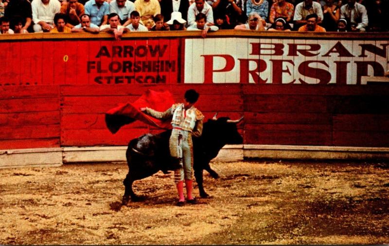 Bull Fight Un Recorte