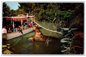 c1960 Explorers Boat Adventureland Hippo Disneylands Anaheim California Postcard