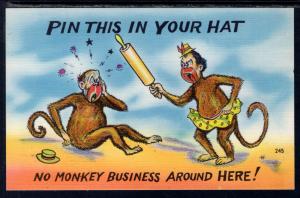 No Monkey Business Around Here,Monkeys Comic