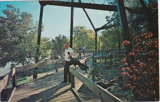 Ohio Cincinnati Walk In Cage Cincinnati Zoological Gardens