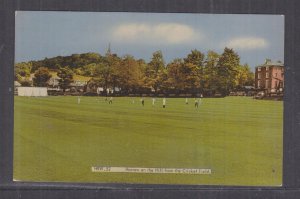 HARROW ON THE HILL, CRICKET FIELD, MIDDLESEX, c1950 ppc., unused.