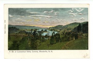 NH - Woodsville. Connecticut River Valley  (copper highlights)