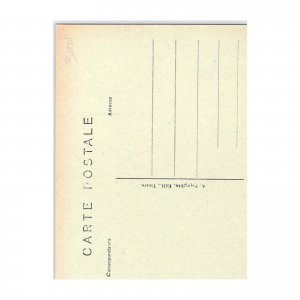 Postcard Château de Chinon France Architecture History