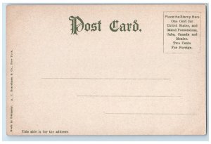 c1905 Exterior View Hotel Indian Building Trees River-Rockledge Florida Postcard