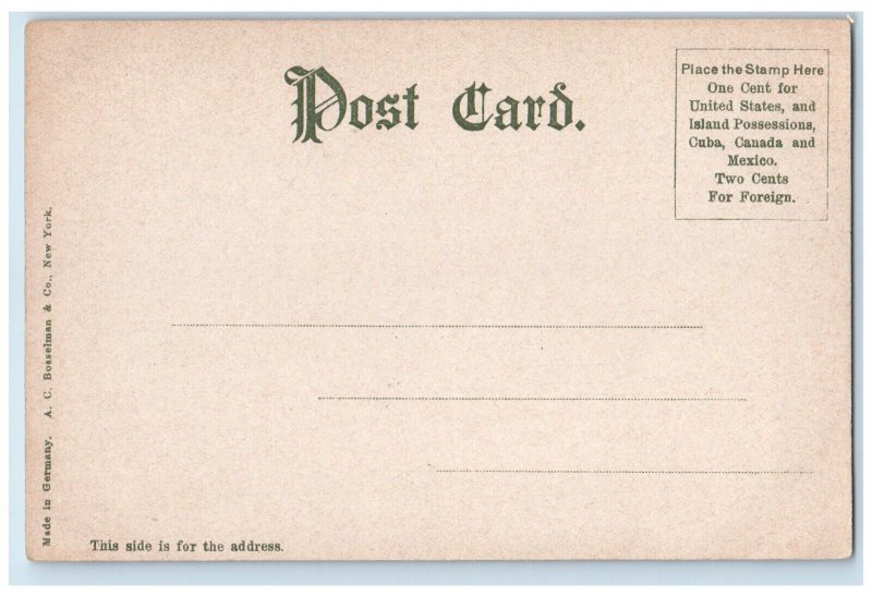 c1905 Exterior View Hotel Indian Building Trees River-Rockledge Florida Postcard