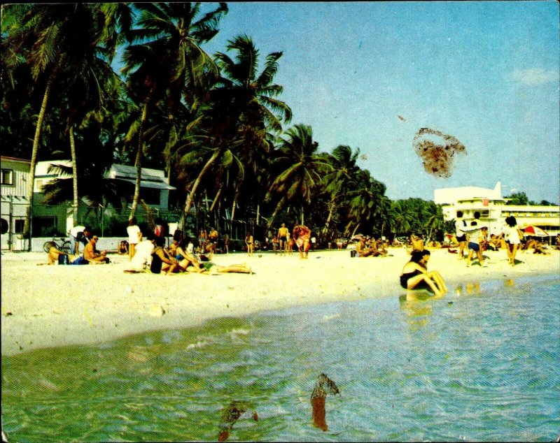 CI01350 dominican republic santo domingo boca chica beach palmtree caribbean sea