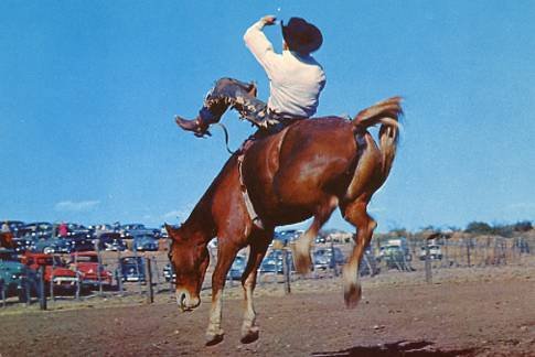 Bareback Bronco Riding