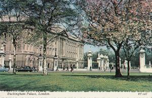 Buckingham Palace London Valentine & sons postcard