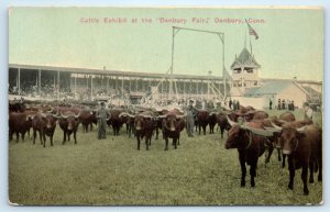 Danbury CT Fair Cattle Exhibit Oxen Connecticut Postcard