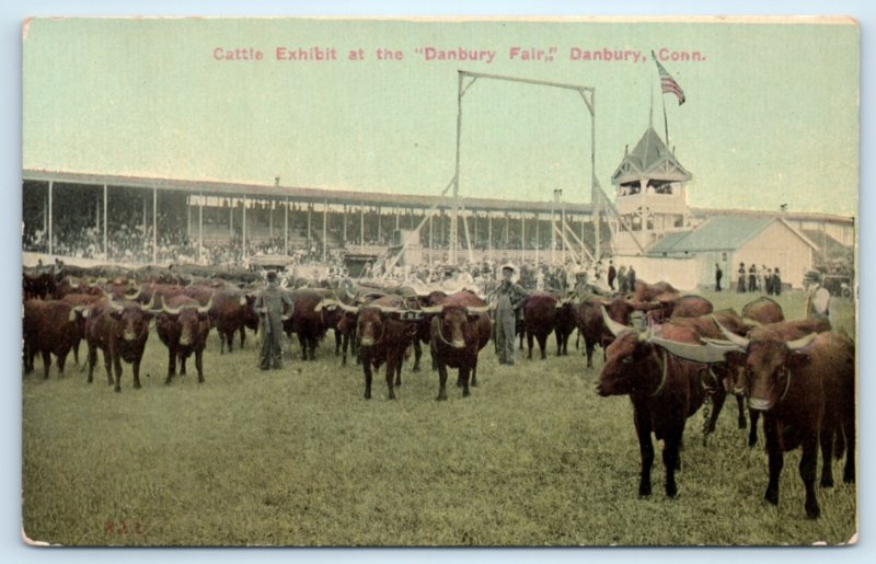 Danbury CT Fair Cattle Exhibit Oxen Connecticut Postcard