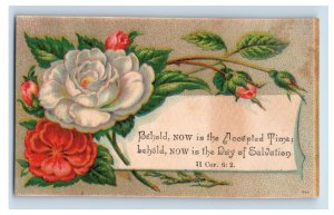 1870s Victorian Religious Trade Card Bible Quote Beautiful Flowers F136