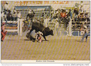 Canada Saskatchewan Meadow Lake Stampede Bull Riding