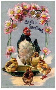 Easter   Chicken , Chicks in Bowl