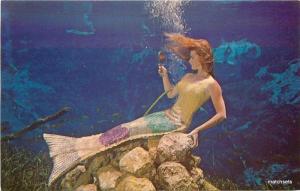 1950s Weeki Wachee Mermaid Marine amusement Florida postcard 9172