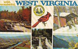 Wild Wonderful West Virginia