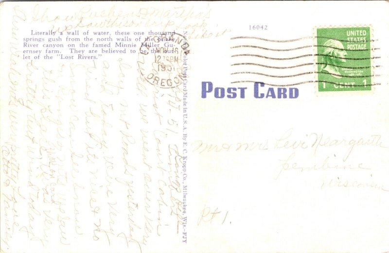 Thousand Springs Hagerman Valley Idaho Postcard 1951