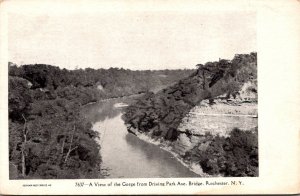 New York Rochester View Of The Gorge From Driving Park Avenue Bridge