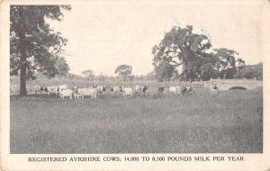 Elizabethtown Pennsylvania Masonic Homes Farms Ayershires Postcard JE359481