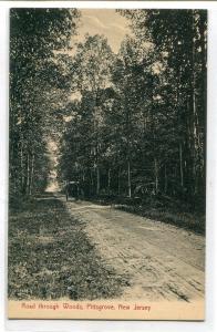 Road Through Woods Horse Buggy Pittsgrove New Jersey 1910c postcard