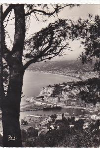 France Nice Echappee entre les pins depuis le Mont Boron