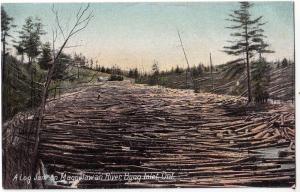 Log Jam on Magnelawan River, Byng Inlet Ont