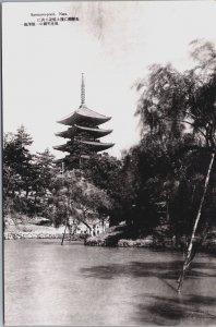 Japan Sarusawa Pond Nara Vintage Postcard C190