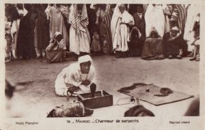 Morocco snake charmer photo postcard