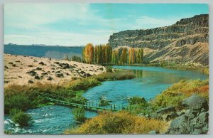 Magic Valley Idaho~Bridge Head of Lower Lake Blue Lakes Country Club~Postcard