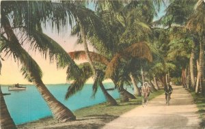 Postcard Florida Palm Beach Lake Trail North hand colored Albertype 23-1802