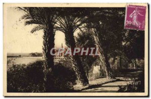 Old Postcard Menton City View has Travers les Palmiers