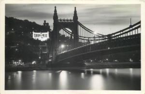 Budapest panorama of the Danube by night Hungary bridge