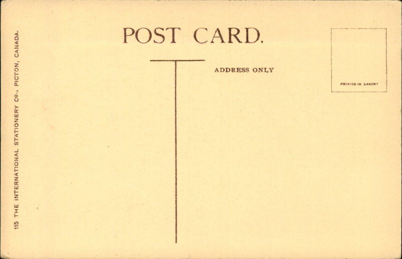 Hamilton Ontario Normal School Sofia Street c1900-20s Vintage Postcard