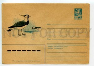 477469 USSR 1983 year Krasilnikov bird lapwing postal COVER