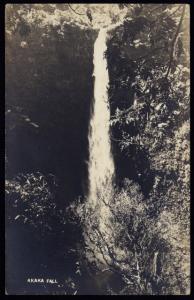 Early 20th c. Akaka Falls pouring freely into the forest in Hawaii real photo pc