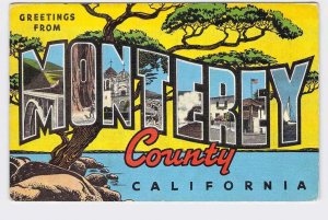 BIG LARGE LETTER VINTAGE POSTCARD GREETINGS FROM CALIFORNIA MONTEREY COUNTY