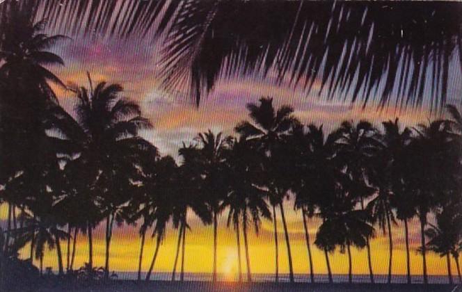 Hawaii Sunset Through The Palms 1956