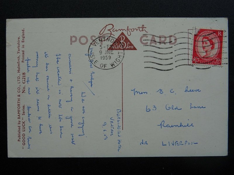 Terrier Dogs A BASKET FULL OF LUCK c1950s Postcard by Bamforth, Good Luck