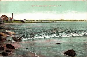 View of The Famous Bore, Moncton NB c1910 Vintage Postcard R06