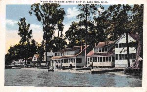 Summer Homes Shoreline Lake Side Lakeside Michigan 1918 postcard