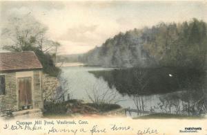 1905 Chapman Mill Pond Westbrook Connecticut hand colored postcard 8634