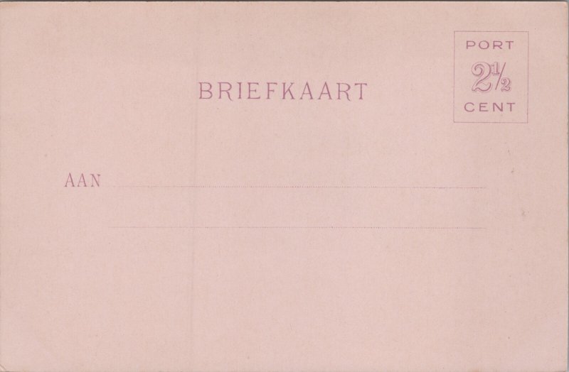 Netherlands Utrecht Domkerk De Dom Postcard C373