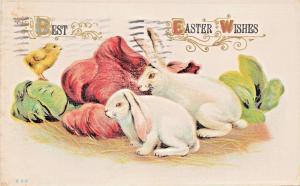 BEST EASTER  WISHES-LOP EARED RABBIT POSTCARD 1913