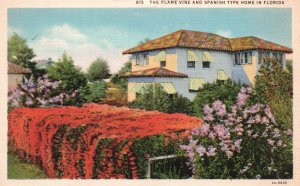 Vintage Postcard Flame Vine and Spanish Type Home Florida FL Asheville Post Card