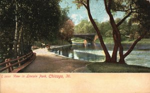 Vintage Postcard View In Lincoln Park Lake Trees And Bridge Chicago Illinois ILL