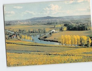 Postcard View of the Vineyards of Moët et Chandon Marne France