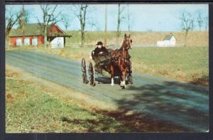 Greetings From the Amish Country BIN 