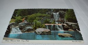 Hamm Memorial Falls Como Park Minnesota Postcard NMN Inc. Dexter Press 17983-D